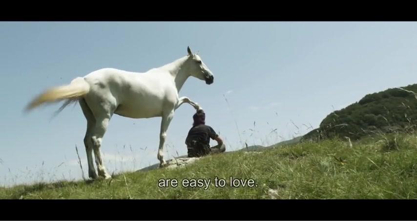 Ein Pferd namens Gazelle - Trailer - Englisch - SD