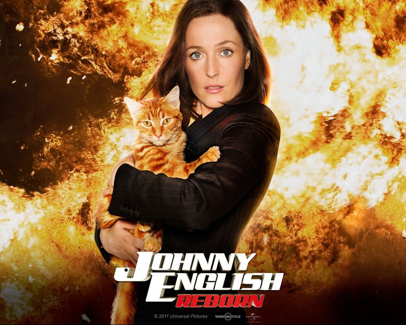 Johnny English 2: DVD oder Blu-ray leihen - VIDEOBUSTER.de