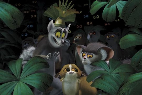 Madagascar - Szenenbild 30