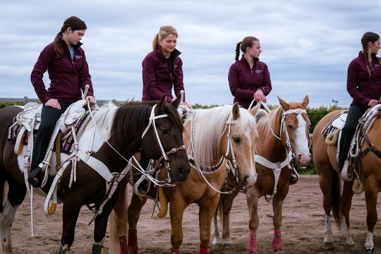 Heartland - Paradies für Pferde - Staffel 10 - Szenenbild 3