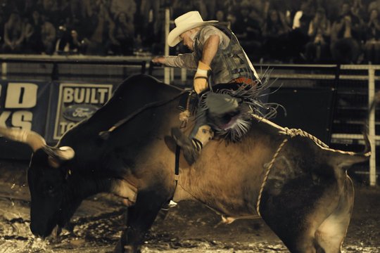 The Last Rodeo - Szenenbild 5