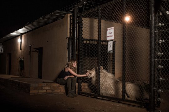 Mia und der weiße Löwe - Szenenbild 6