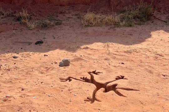 Coyote vs. Acme - Szenenbild 10