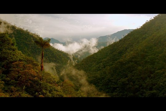 Traumreise durch Südamerika - Szenenbild 10