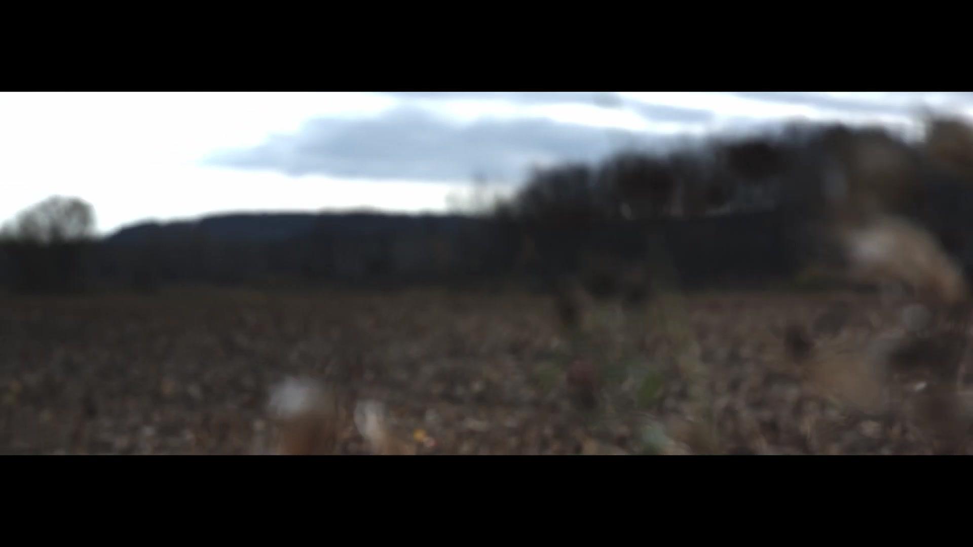 The Mental State - Trailer - Englisch - HD