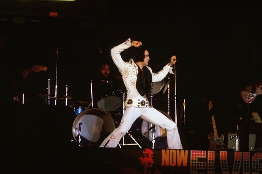 Elvis on Tour - Szenenbild 3