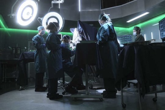 The Good Doctor - Staffel 1 - Szenenbild 16