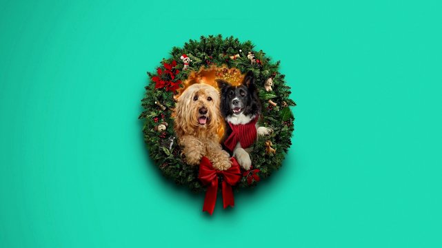 Finding Christmas Love - Mitten ins Herz - Wallpaper 1