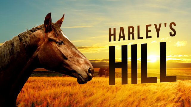 Sarah & Harley - Wallpaper 1