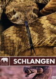 Safari - Schlangen