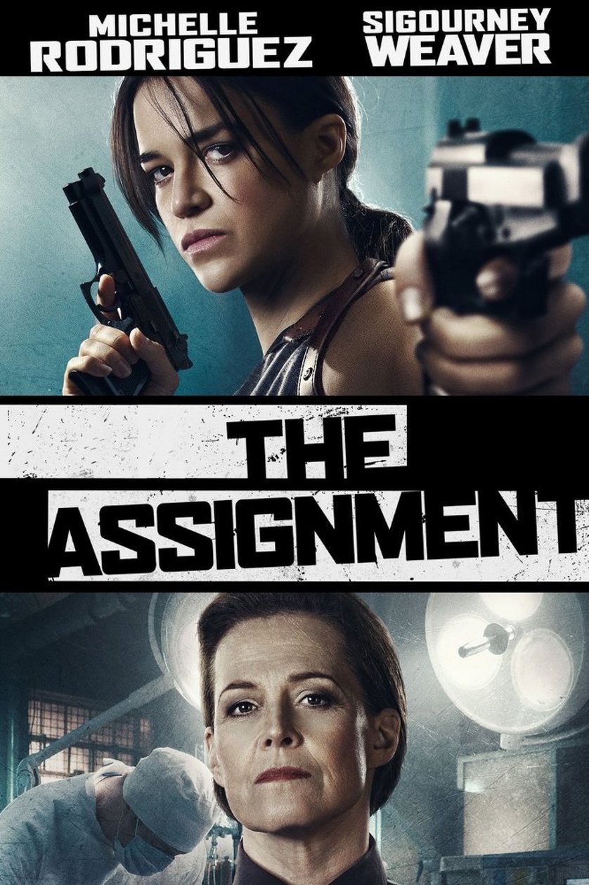 the assignment vertaling