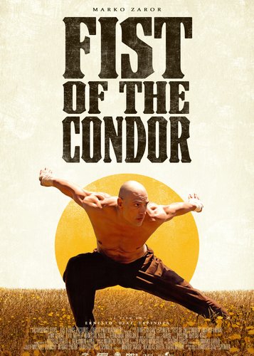 Die Faust des Condors - Poster 1
