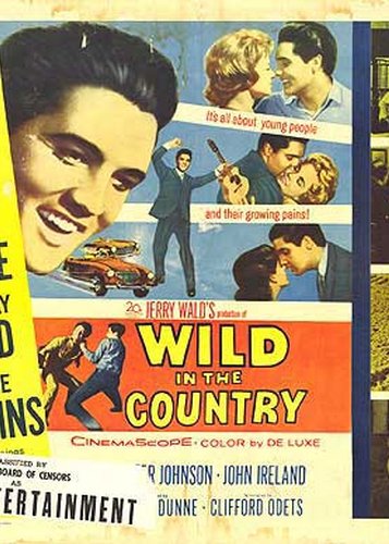 Wild in the Country - Poster 3