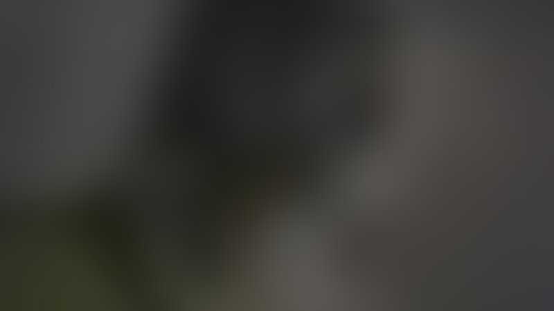 Hemoglobin - Trailer - Englisch - SD