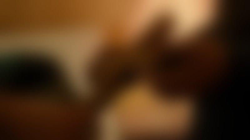 Candy Land - Trailer - Deutsch - SD