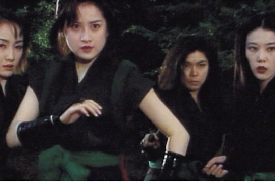 Kunoichi Lady Ninja - Szenenbild 4
