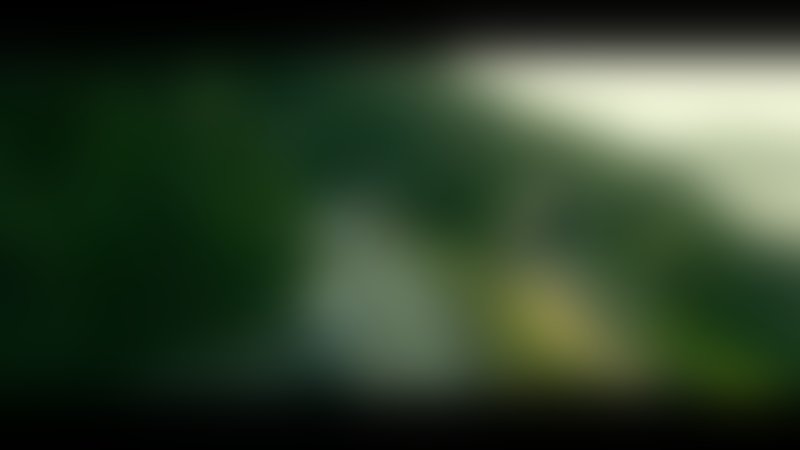 Farang - Trailer - Deutsch - SD