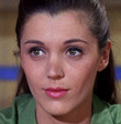 Donna Baccala