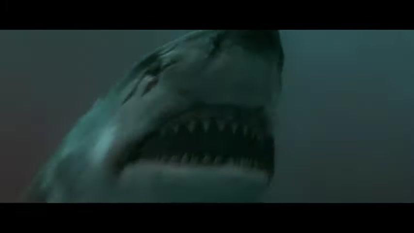 Shark Warning - Trailer - Deutsch