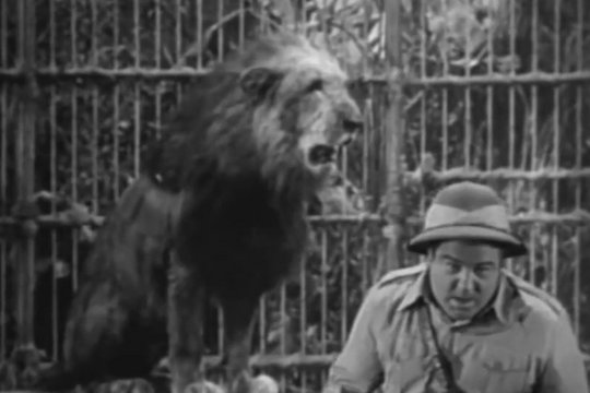 Abbott & Costello in Afrika - Szenenbild 3