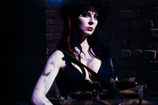 Elvira - Herrscherin der Dunkelheit - Szenenbild 1