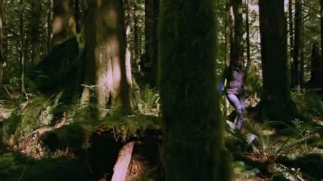 Crash Site - Trailer - Englisch - SD