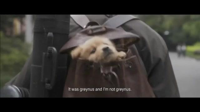 Hachiko - Eine Freundschaft für die Ewigkeit - Trailer - Englisch - SD