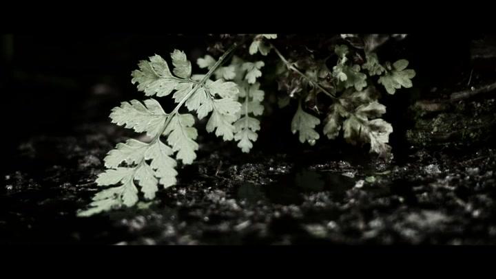 Um jeden Preis - Trailer - Deutsch - SD