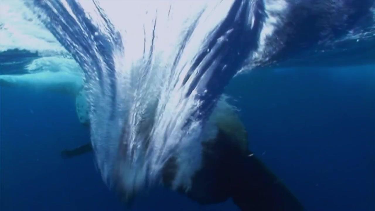 Symphonie der Tiere - Trailer - Deutsch - HD