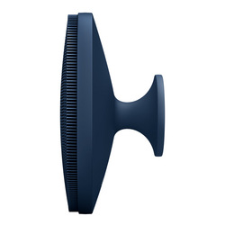 Body Brush | 4 in 1