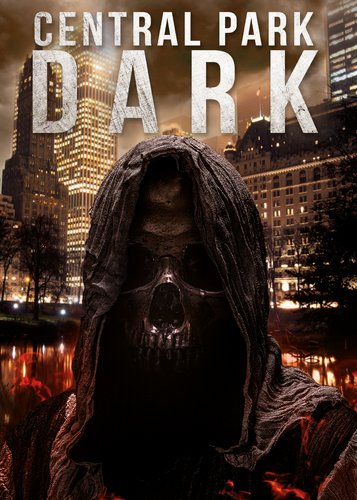 Central Park Dark - Poster 1