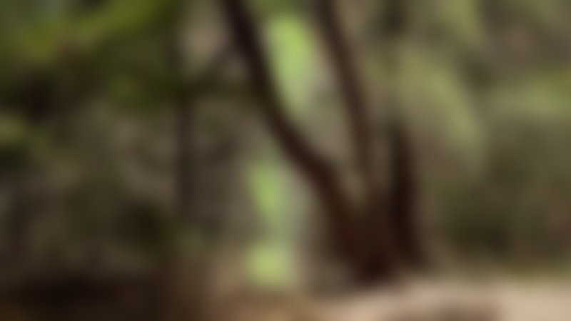 Volcano Zombies - Trailer - Englisch - HD