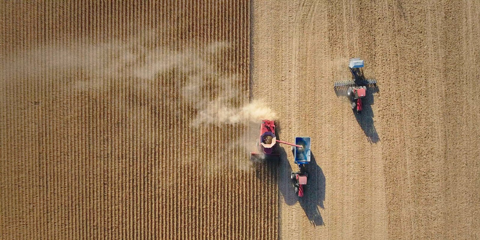 Food, Inc. 2