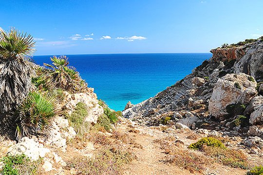 Mallorca - Szenenbild 2