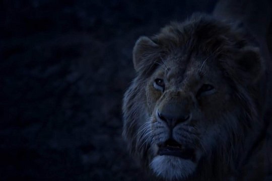 Der König der Löwen - Szenenbild 9