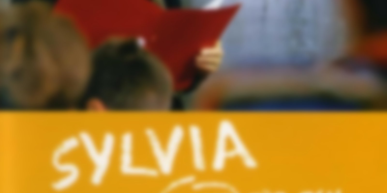 Sylvia - Eine Klasse für sich - Staffel 1