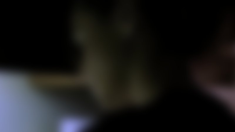 Skin Collector - Trailer - Englisch - HD