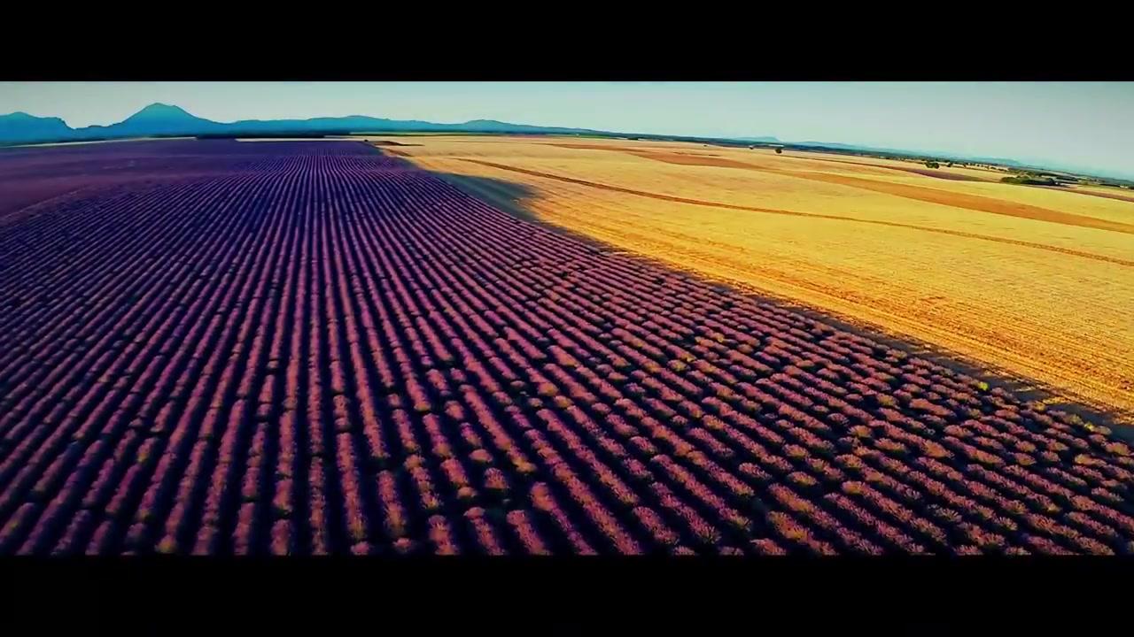 Affenkönig - Teaser - Deutsch - HD