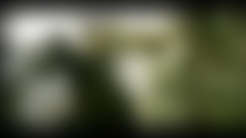 Iron Monkey 2 - Trailer - Chinesisch - SD