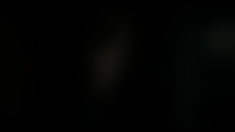 Der Biber - Trailer - Deutsch - SD