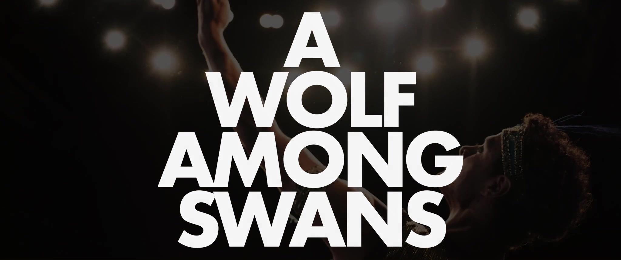 A Wolf Among the Swans - Trailer - Englisch - HD