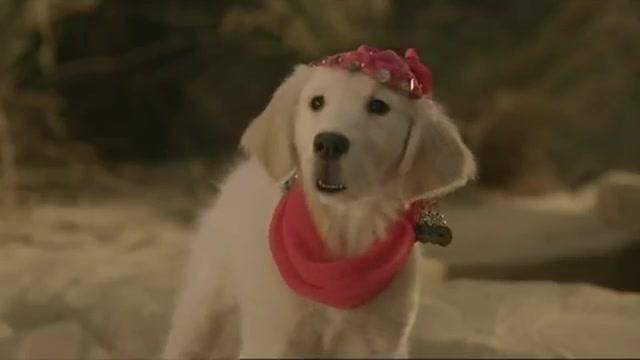 Treasure Buddies - Trailer - Englisch - SD