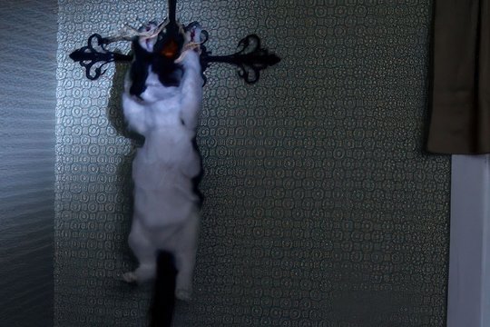 Home Movie - Szenenbild 9