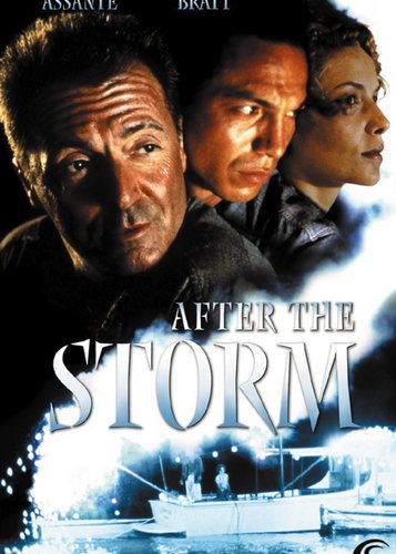 After the Storm - Poster 1