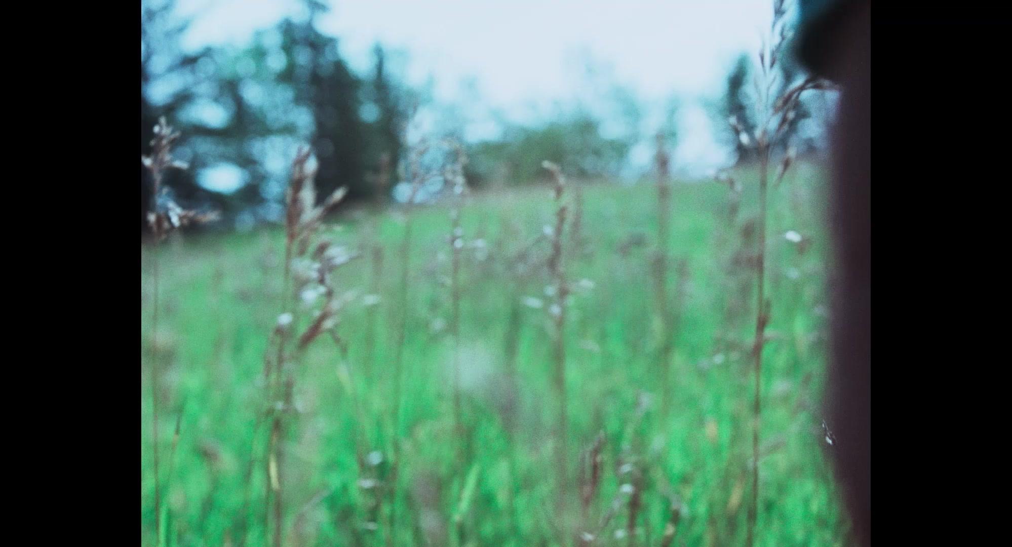 Die My Love - Trailer - Deutsch - HD