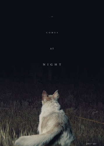 It Comes at Night - Poster 3
