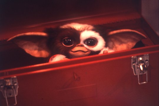 Gremlins 2 - Szenenbild 3
