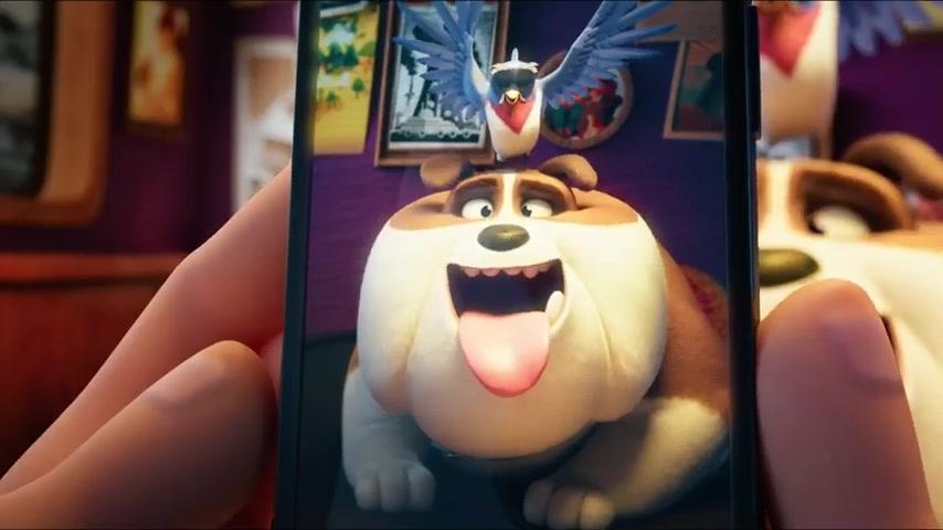 Miss Moxy - Trailer - Englisch - SD