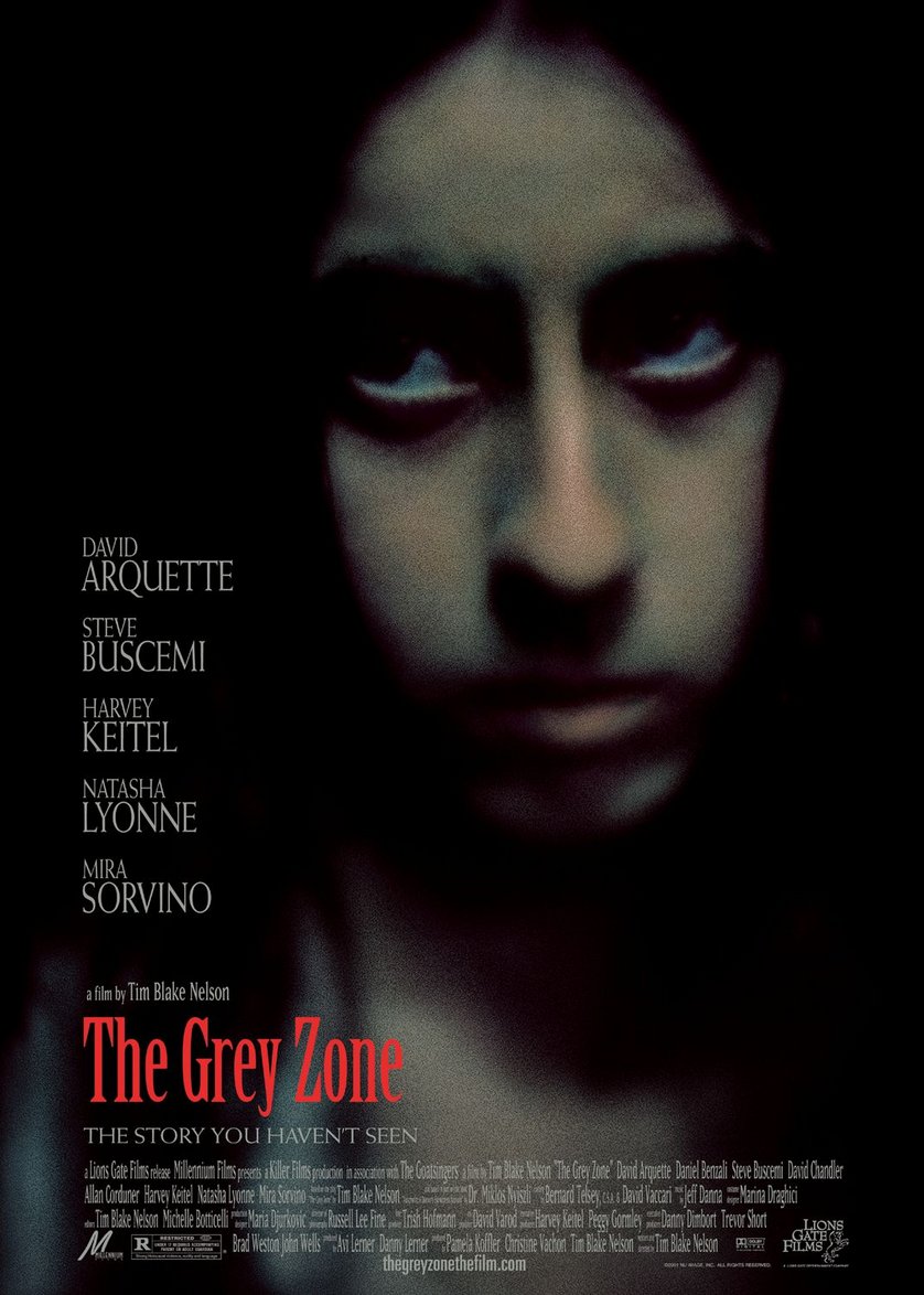 Greyzone Kritik Greyzone Kritik