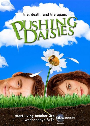 Pushing Daisies - Staffel 1 - Poster 1